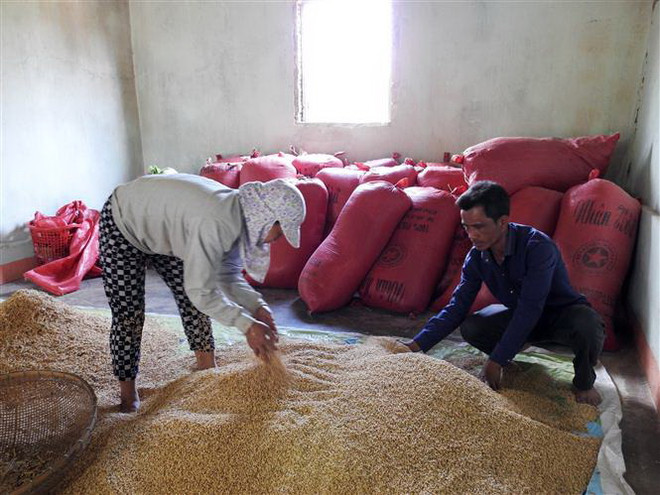 Đồng bào dân tộc ở Kon Tum tự nguyện xin... thoát nghèo là động lực cho toàn xã vươn lên làm kinh tế. (Ảnh: Quang Thái/TTXVN) Nghị quyết phê duyệt đề án phát triển KT-XH vùng dân tộc thiểu số ảnh 2