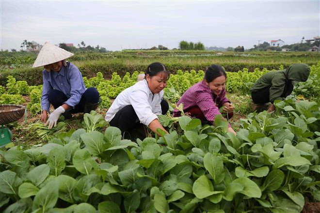 Nghị quyết về Kế hoạch phát triển kinh tế-xã hội năm 2020 ảnh 2