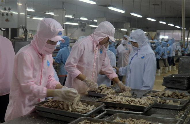 ICAEW: Việt Nam dự kiến sẽ có mức tăng trưởng cao vào năm 2022 ảnh 1