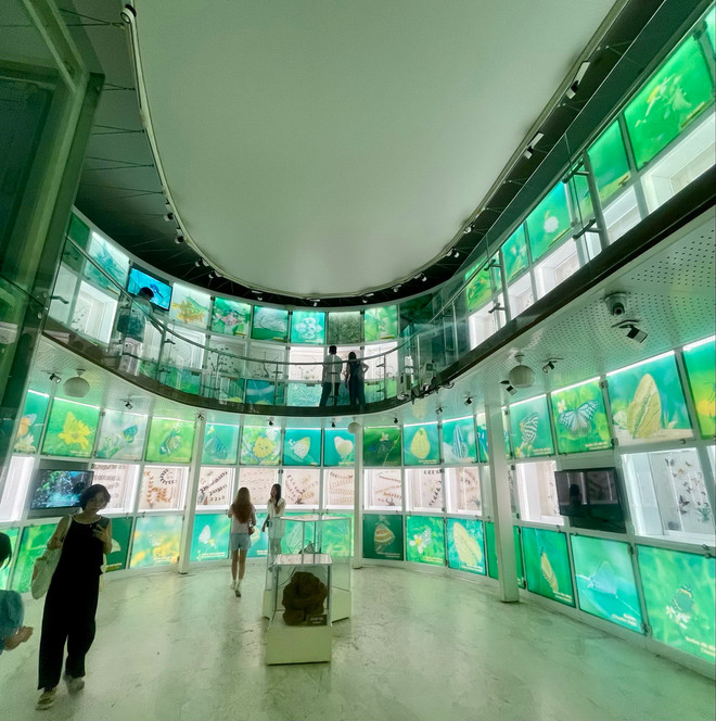 vnp-bao tang quang ninh7.jpg