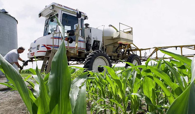 Các nước EU bất đồng về thời hạn sử dụng thuốc diệt cỏ glyphosate ảnh 1