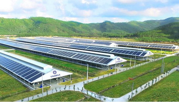 Mô hình Vinamilk Green Farm được chia sẻ tại hội nghị sữa toàn cầu ảnh 8