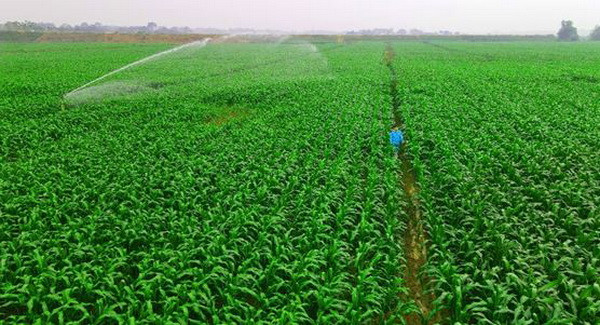 Mô hình Vinamilk Green Farm được chia sẻ tại hội nghị sữa toàn cầu ảnh 12