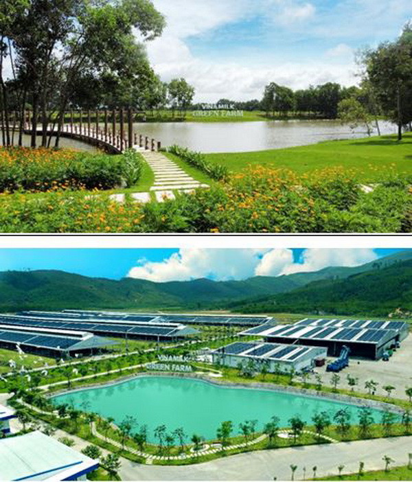 Mô hình Vinamilk Green Farm được chia sẻ tại hội nghị sữa toàn cầu ảnh 6