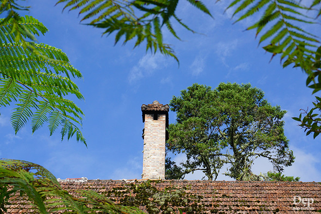 Cameron Highlands - nàng sơn nữ ngủ vùi giữa rừng xanh và đồi chè ảnh 10