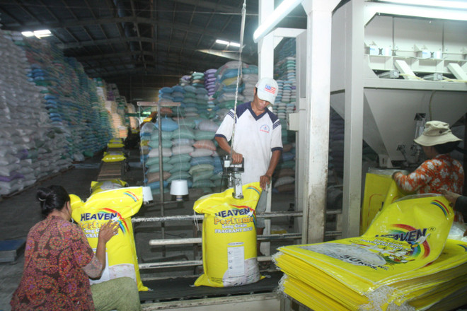 Việt Nam tổ chức diễn đàn kinh doanh lương thực, nông nghiệp ASEAN ảnh 1