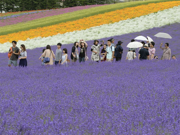 Thúc đẩy phát triển du lịch khu vực châu Á-Thái Bình Dương ảnh 1