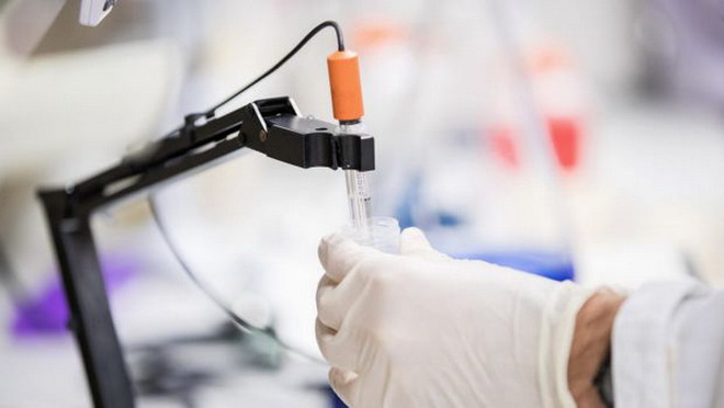 Phát triển cơ chế mới ngăn chặn tế bào ung thư phát triển ảnh 1