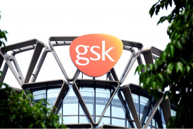 Tập đoàn dược phẩm GlaxoSmithKline xúc tiến 2 thương vụ gây tranh cãi ảnh 1