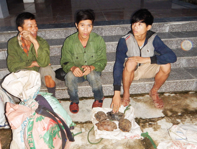 Mỹ hỗ trợ xây dựng chính sách luật về buôn bán động vật hoang dã ảnh 1