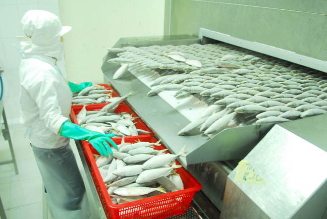 Việt Nam nằm trong top thị trường mới nổi tăng trưởng nhanh nhất ảnh 1