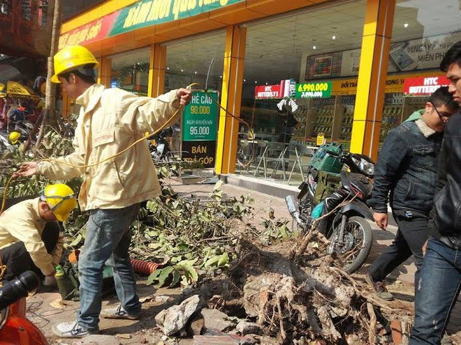 Hà Nội: Cả gia đình kêu cứu trên ôtô đâm đổ cột đèn ở phố Kim Mã ảnh 2
