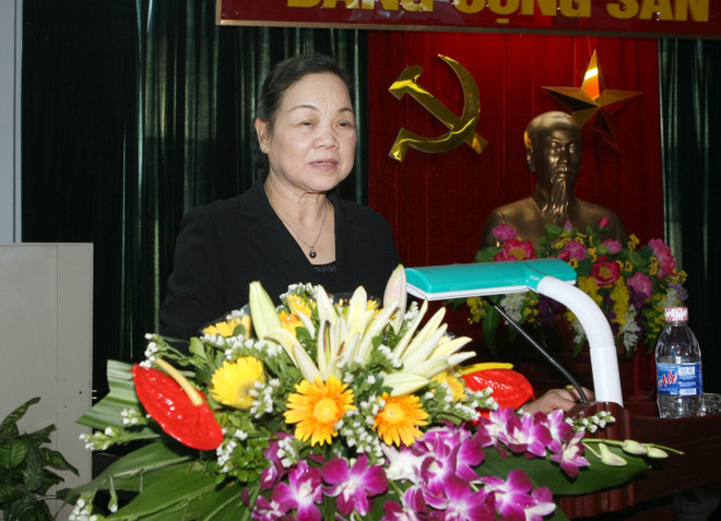 Trưởng Ban Dân vận Trung ương gặp gỡ đại diện Việt kiều Mỹ ảnh 1