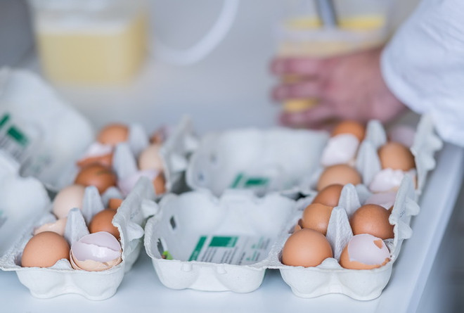 Italy tiếp tục phát hiện trứng nhiễm hóa chất thuốc trừ sâu Fipronil ảnh 1