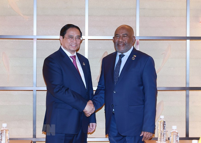 Thủ tướng Phạm Minh Chính hội kiến Tổng thống Liên bang Comoros ảnh 1