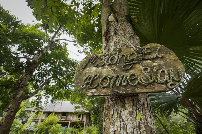 ttxvn-muong co (5).jpg