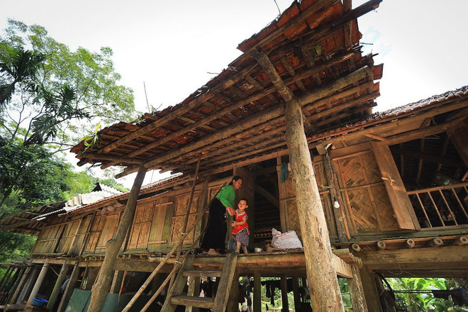 ttxvn-muong co (2).jpg