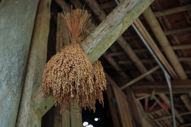 ttxvn-muong co (7).jpg