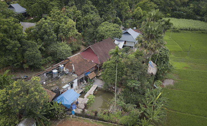 ttxvn-muong co (12).jpg