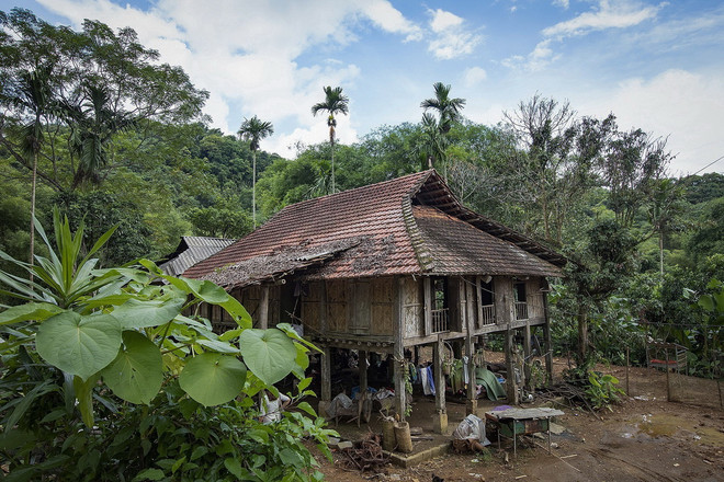 ttxvn-muong co (6).jpg