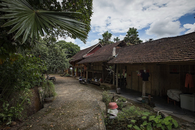 ttxvn-muong co (11).jpg