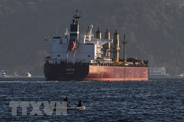 Ngũ cốc được vận chuyển đến châu Phi đã tăng gấp đôi trong 6 tháng qua ảnh 1