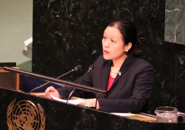 Việt Nam chia sẻ ý nghĩa thiêng liêng của Ngày quốc tế Vesak ảnh 1