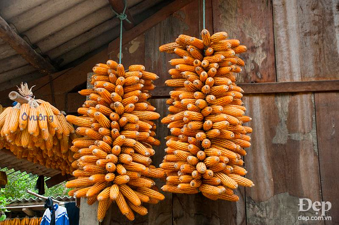 Chiêm ngưỡng phong cảnh tuyệt đẹp xứ Mù Cang Chải khi mùa Thu tới ảnh 9