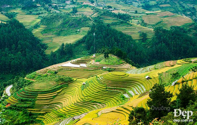 Chiêm ngưỡng phong cảnh tuyệt đẹp xứ Mù Cang Chải khi mùa Thu tới ảnh 14