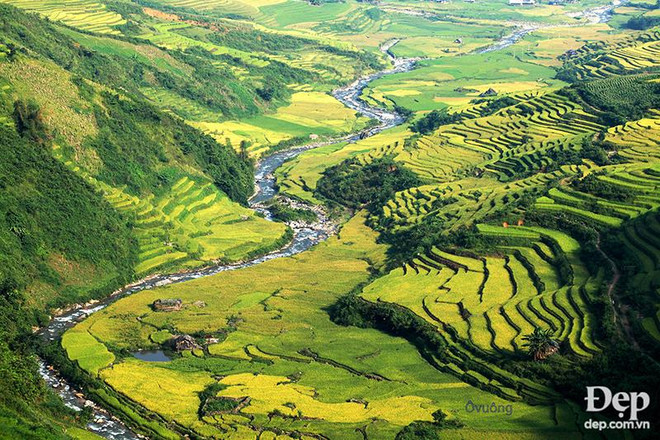 Chiêm ngưỡng phong cảnh tuyệt đẹp xứ Mù Cang Chải khi mùa Thu tới ảnh 4