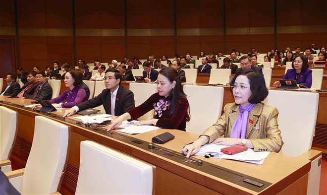 Kỳ họp bất thường: Triển khai mục tiêu, nhiệm vụ bằng giải pháp căn cơ ảnh 2