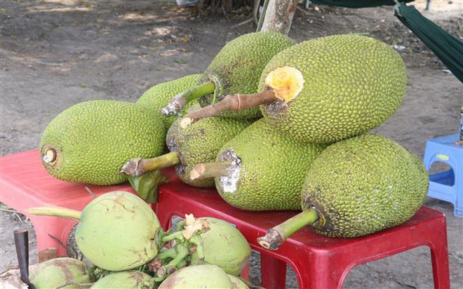 Mít Thái “sốt” giá, nông dân Tiền Giang có nguồn thu nhập cao ảnh 1