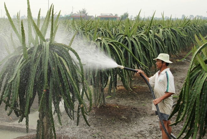 Quảng Ninh xây dựng thương hiệu cho 21 sản phẩm nông nghiệp ảnh 1