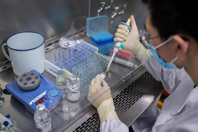 Kỹ thuật viên làm việc tại phòng thí nghiệm tại Bắc Kinh, Trung Quốc. (Ảnh: AFP/TTXVN) Trung Quốc tăng kiểm soát ngăn ngừa bệnh đậu mùa khỉ xâm nhập ảnh 1