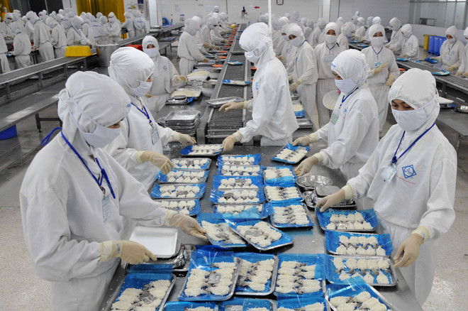 Lô thủy sản đầu tiên được cấp chứng thư điện tử xuất sang EU ảnh 1