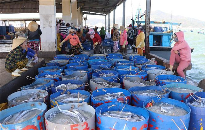 Chiến lược xuất nhập khẩu hàng hóa đến năm 2030 của tỉnh Phú Yên ảnh 2