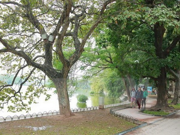 Miền Bắc nhiệt độ tăng, Quảng Bình đến Quảng Ngãi vẫn có mưa to ảnh 1