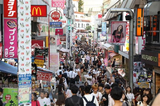 Nhật Bản: Số vụ phá sản giảm xuống mức thấp nhất trong 50 năm ảnh 1