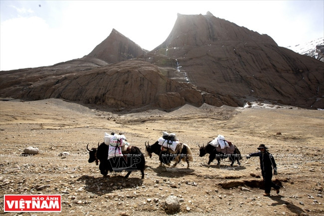 Hành trình chiêm bái ngọn núi thiêng Kailash ở Tây Tạng ảnh 8