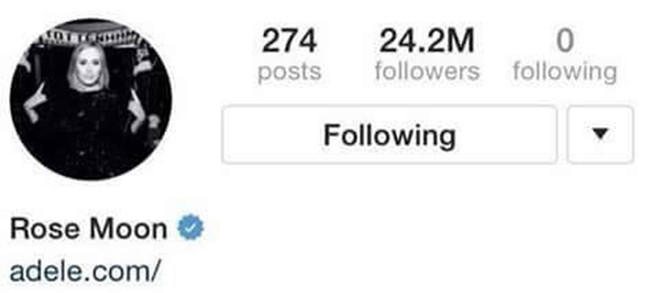 Năm điều người hâm mộ ít biết về “họa mi nước Anh” Adele ảnh 3