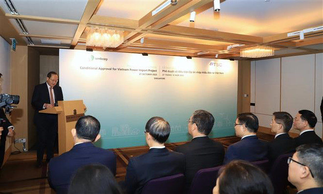 Việt Nam-Singapore đạt được bước tiến trọng trong kinh doanh điện sạch ảnh 1