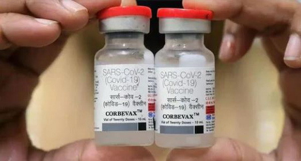 Ấn Độ cấp phép tiêm kết hợp vaccine COVID-19 làm mũi tăng cường ảnh 1