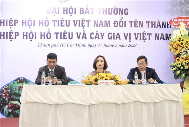 Hiệp hội Hồ tiêu Việt Nam đổi thành Hiệp hội Hồ tiêu và cây gia vị VN ảnh 1