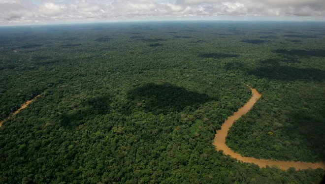 Người dân Ecuador bỏ phiếu đình chỉ khai thác dầu tại khu vực Amazon ảnh 1