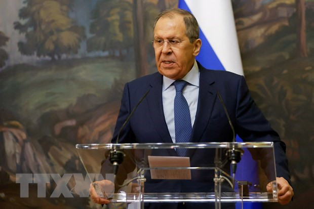 Nga sẵn sàng hợp tác chặt chẽ với các nước thuộc thế giới Hồi giáo ảnh 1