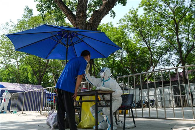 Thế giới đã ghi nhận tổng cộng hơn 516 triệu ca mắc COVID-19 ảnh 2