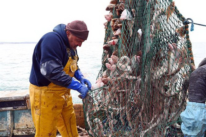 Brexit: EU và Anh vẫn chưa đạt đột phá trong đàm phán thương mại ảnh 1