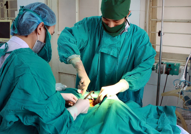 Lào Cai: Nối thành công động mạch tay bị đứt do khỉ độc cắn ảnh 1