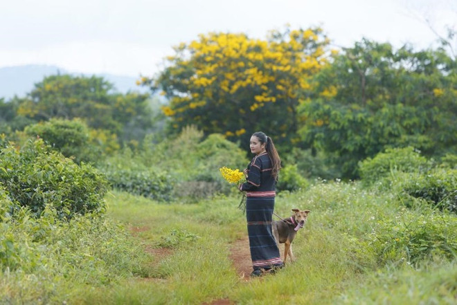 Gợi ý 10 điểm đến du lịch ở Việt Nam dự đoán sẽ gây bão năm 2022 ảnh 6