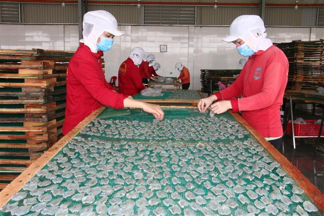 Công cụ phòng vệ thương mại - giải pháp bảo vệ lợi ích doanh nghiệp ảnh 1